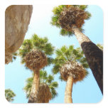 Oasis Palms in Joshua Tree National Park Square Sticker