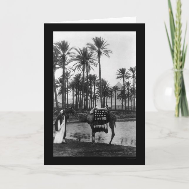 Oasis View Pyramid 1902 Card (Front)