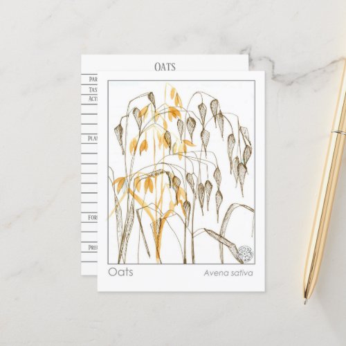 Oats Grain Plant Materia Medica Herbal Study Card