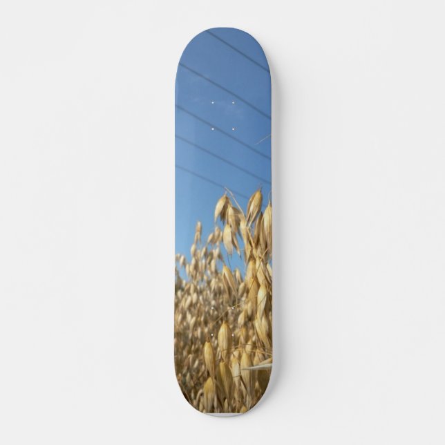 Oats Plant Skateboard Deck (Front)