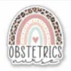 OB Nurse Obstetrics OB/GYN Nurse, Obstetrics Nurse Sticker | Zazzle