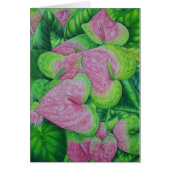 Obake Anthuriums (Front)