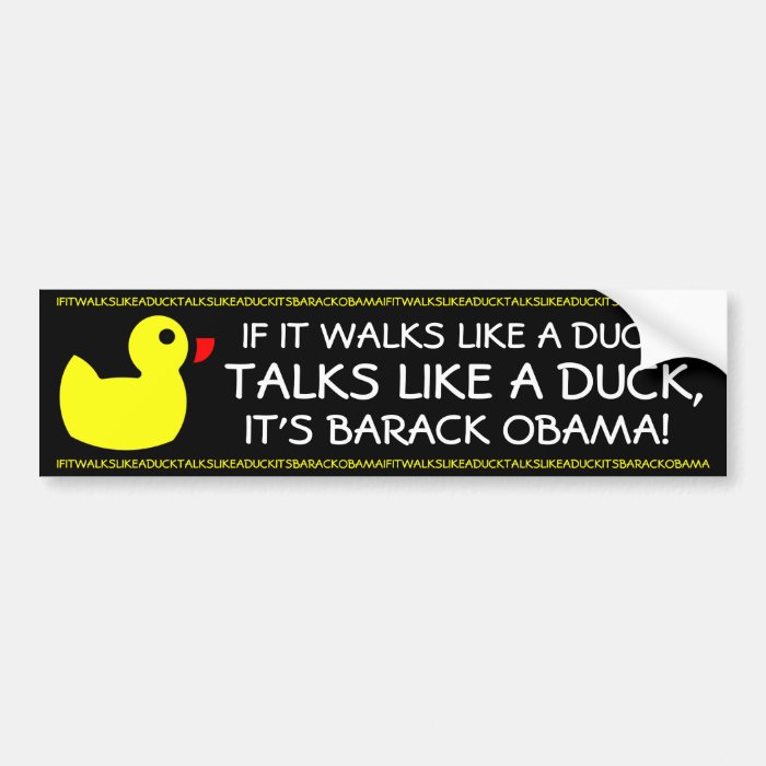 OBAMA   IF IT WALKS LIKE A DUCK,TALKS LIKE A DUCK BUMPER STICKERS