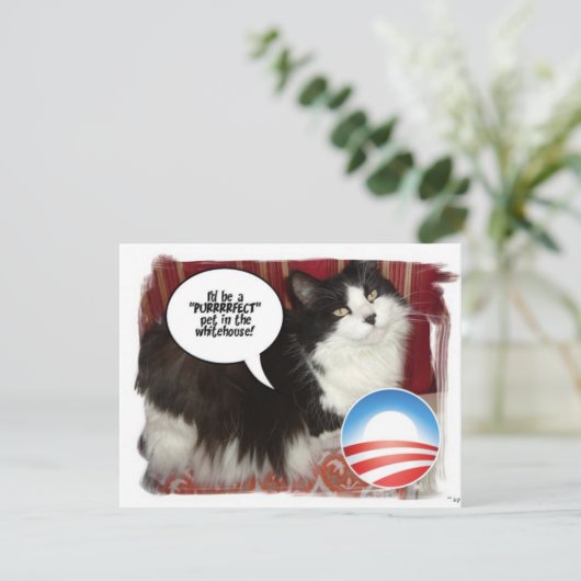 Obama Pet/Political Humor (Standing Front)