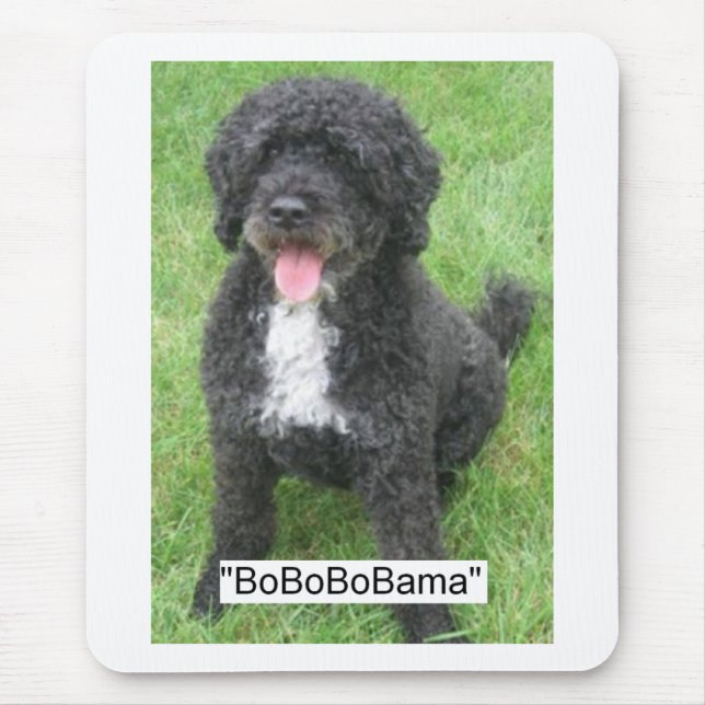 Obama Pet/Portuguese Water Dog Mouse Pad (Front)
