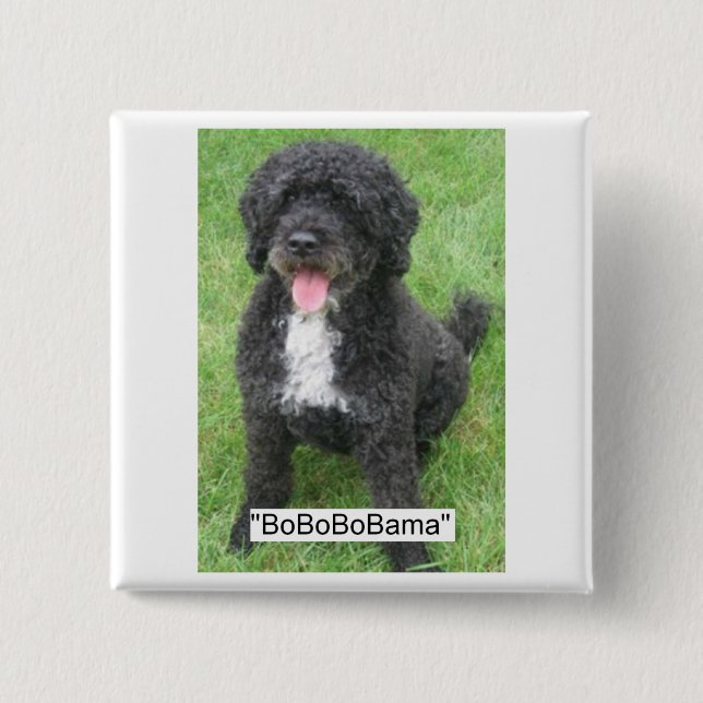 Obama Pet Portuguese Water dog Pinback Button (Front)
