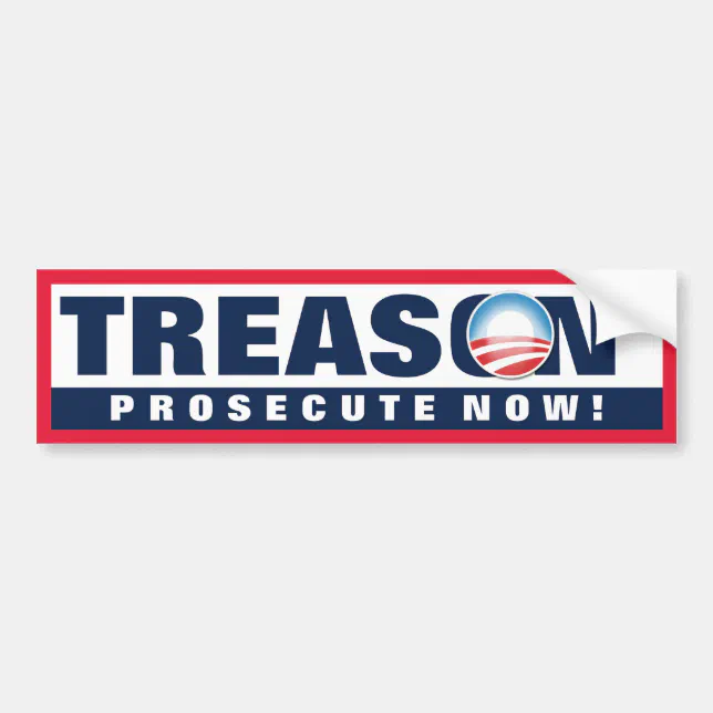 Obama Treason Bumper Sticker | Zazzle