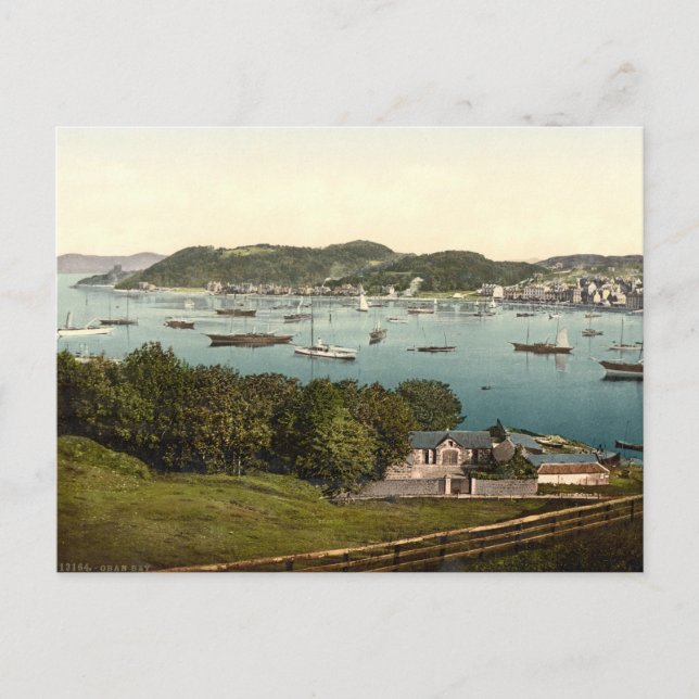 Oban Bay, Argyll and Bute, Scotland Postcard (Front)