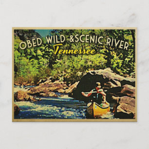 Obed Wild Scenic River Tennessee Postcard