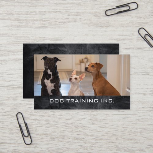 Obedient Dogs Sitting in House | Dog Trainer Business Card