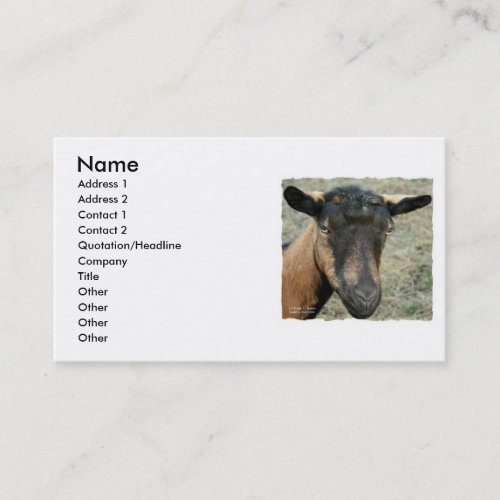Oberhasli brown goat head shot in color business card templates