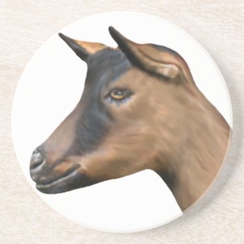 Oberhasli Goat Sandstone Coaster by getyergoat at Zazzle