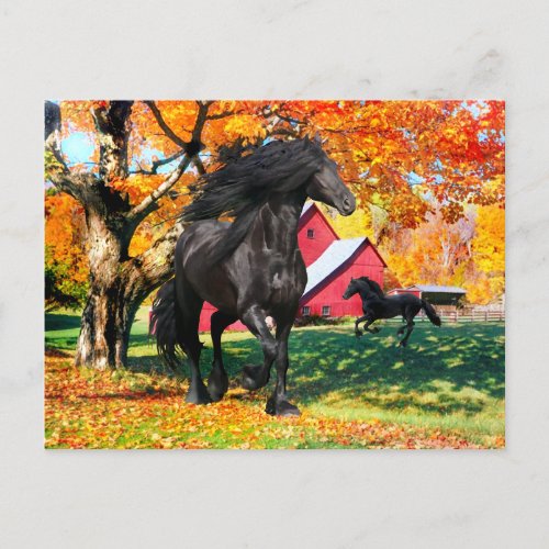 Oberon In Autumn  Postcard