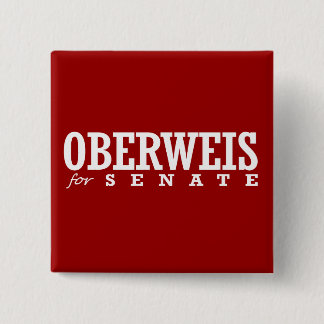 OBERWEIS FOR SENATE 2014 PINBACK BUTTON