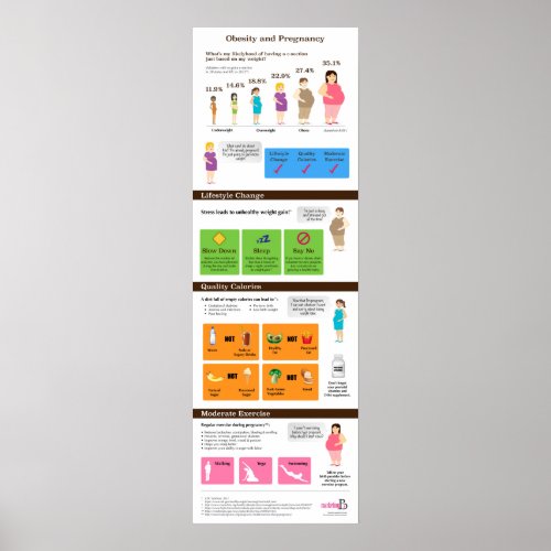 Obesity and Pregnancy 12 x 36 Infographic Poster