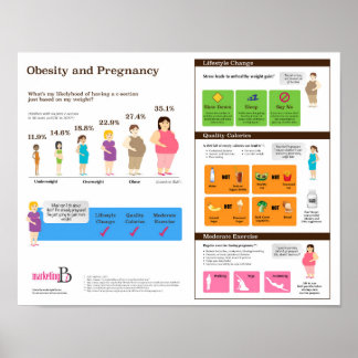 Obesity and Pregnancy 14" x 11" Infographic Poster