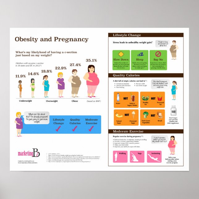 Obesity and Pregnancy 20" x 16" Infographic Poster (Front)