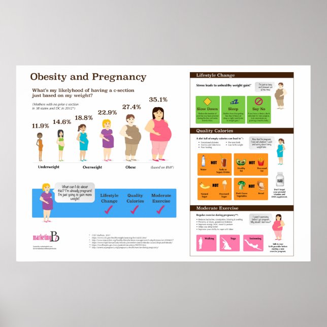 Obesity and Pregnancy 36" x 24" Infographic Poster (Front)
