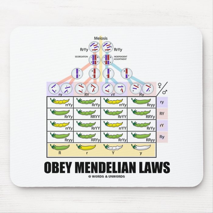 Obey Mendelian Laws (Dihybrid Cross Peas) Mouse Pad