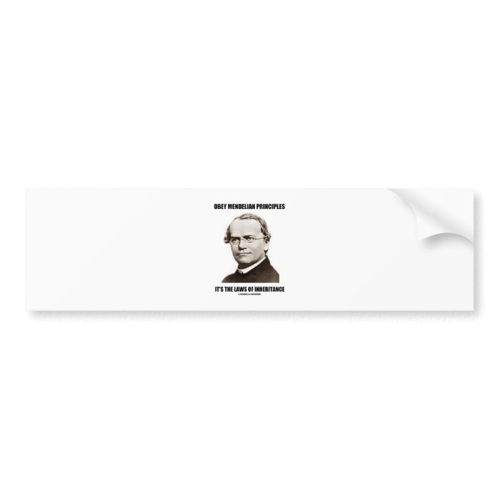 Obey Mendelian Laws Of Inheritance (Gregor Mendel) Bumper Stickers