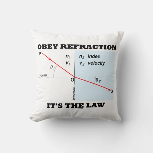 Obey Refraction Its The Law Physics Geek Humor Throw Pillow
