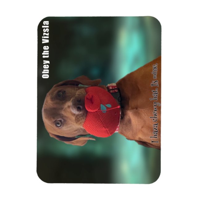 Obey the Vizsla Chewy Hat Magnet (Vertical)