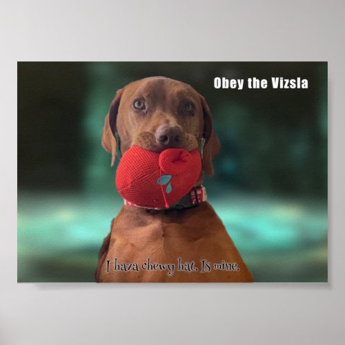 Obey the Vizsla Poster