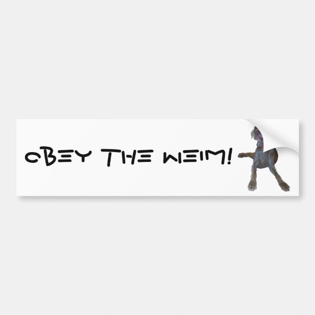 Obey the Weim! Weimaraner Bumper Sticker (Front)