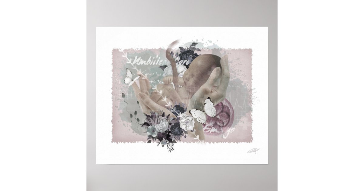 Obgyn Poster | Zazzle