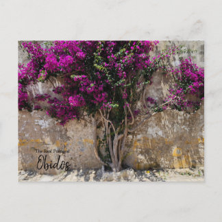 Obidos Colors Portugal Postcard
