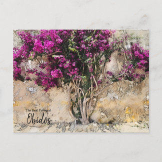 Obidos Colors Portugal Postcard