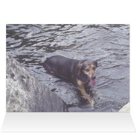 Obie Card (Inside Horizontal (Top))