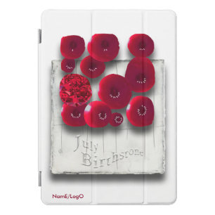objet_4_variations on the ruby iPad cover