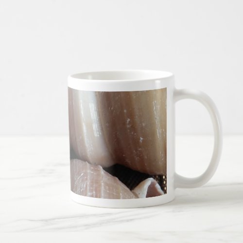 Oblong  Summer Seashells Summer Season Coffee Mug