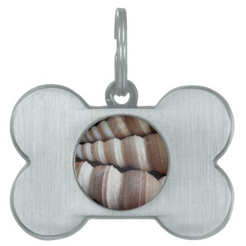 Oblong  Summer Seashells Summer Season Pet Tag