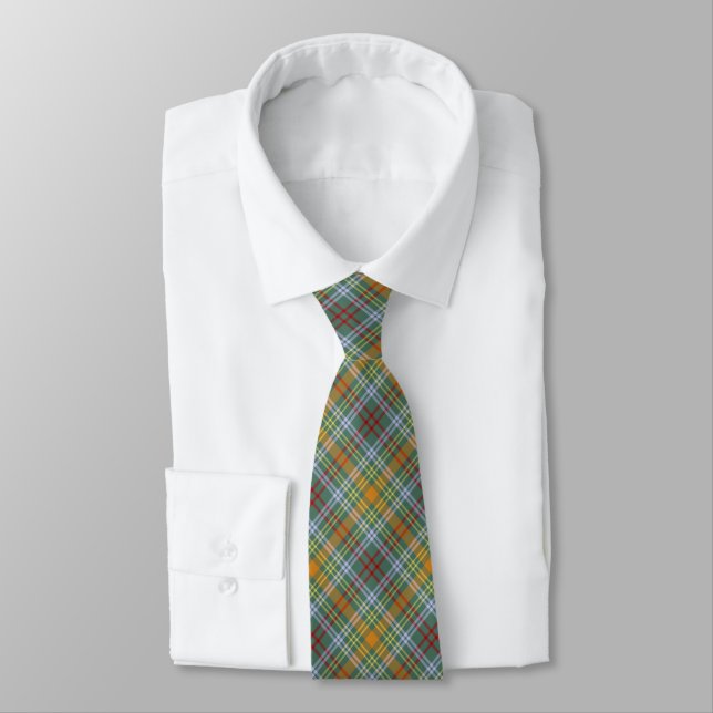 O'Brien Tartan Colorful Plaid Neck Tie (Tied)