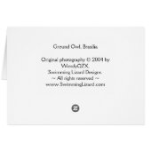 Observant Owl v2 (Back Horizontal)