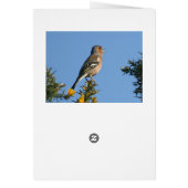 Obsessive tweeting card (Back)