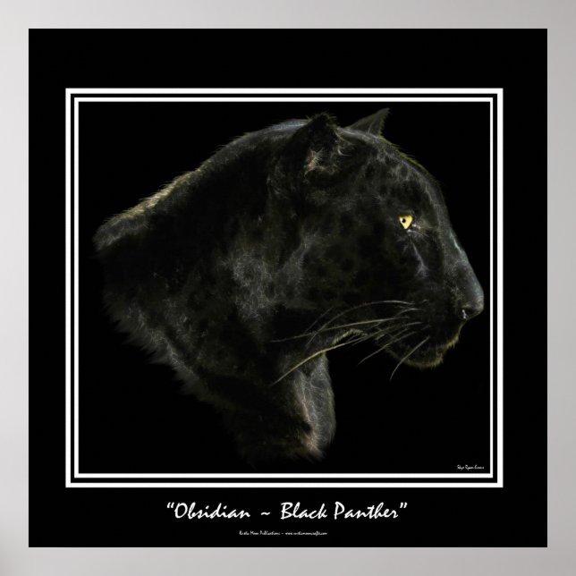 "OBSIDIAN" ~ Black Panther Puma Wildlife Art Print (Front)