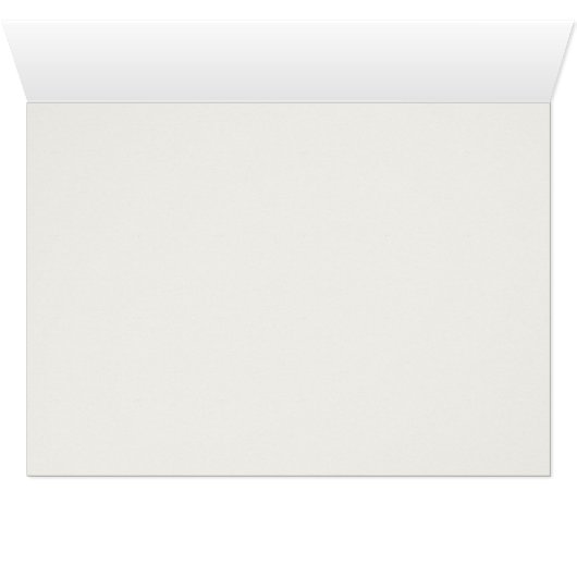 Obsidian Skull Swords Pirate flag of Calico Jack (Inside Horizontal (Bottom))