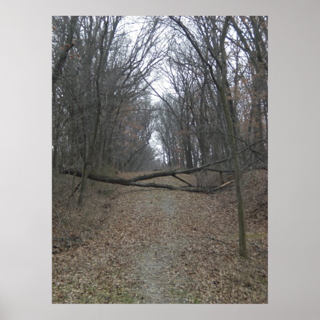 Obstacle in the Road Poster (Front)