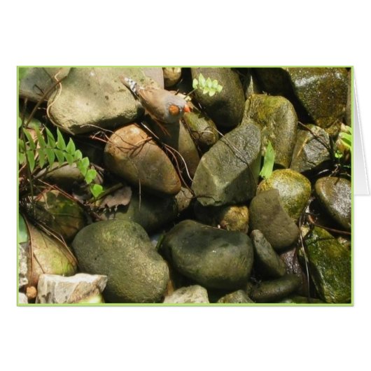 Obstacles, card, text inside (Front Horizontal)