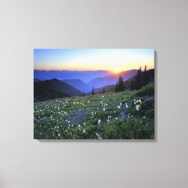 Obstruciton Point Sunset, Olympic NP, WA, USA Canvas Print (Front)