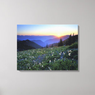 Obstruciton Point Sunset, Olympic NP, WA, USA Canvas Print