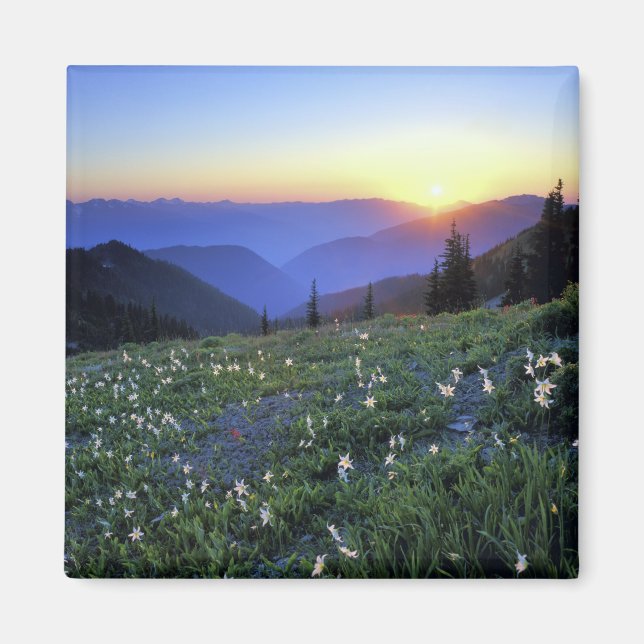 Obstruciton Point Sunset, Olympic NP, WA, USA Magnet (Front)