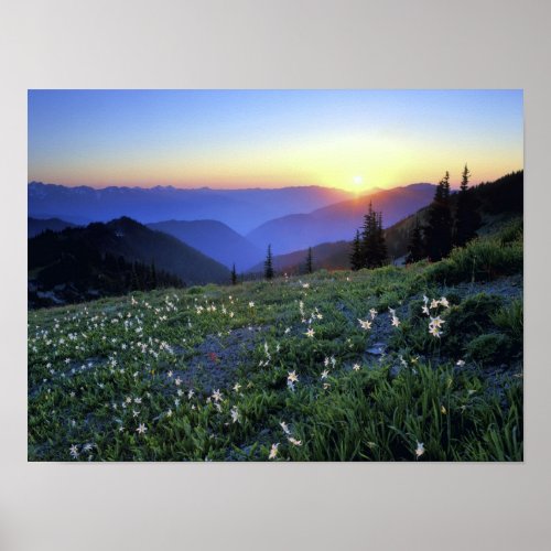 Obstruciton Point Sunset Olympic NP WA USA Poster