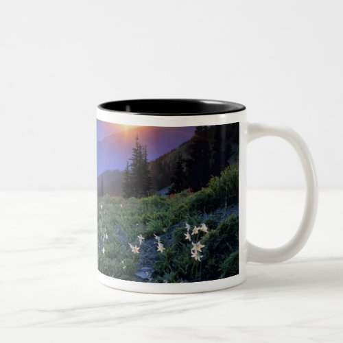 Obstruciton Point Sunset Olympic NP WA USA Two_Tone Coffee Mug