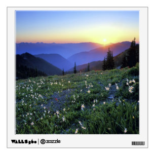 Obstruciton Point Sunset, Olympic NP, WA, USA Wall Decal