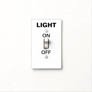Obvious Light Switch Cover