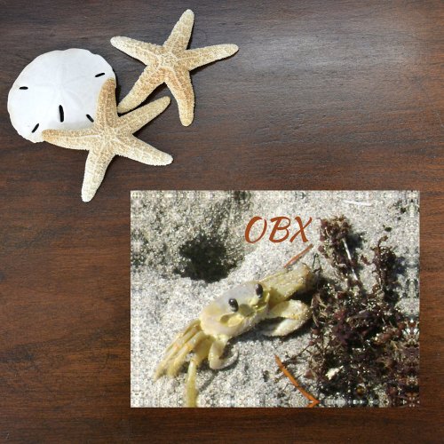 OBX NC Ghost Crab Photographic Beach Paperweight